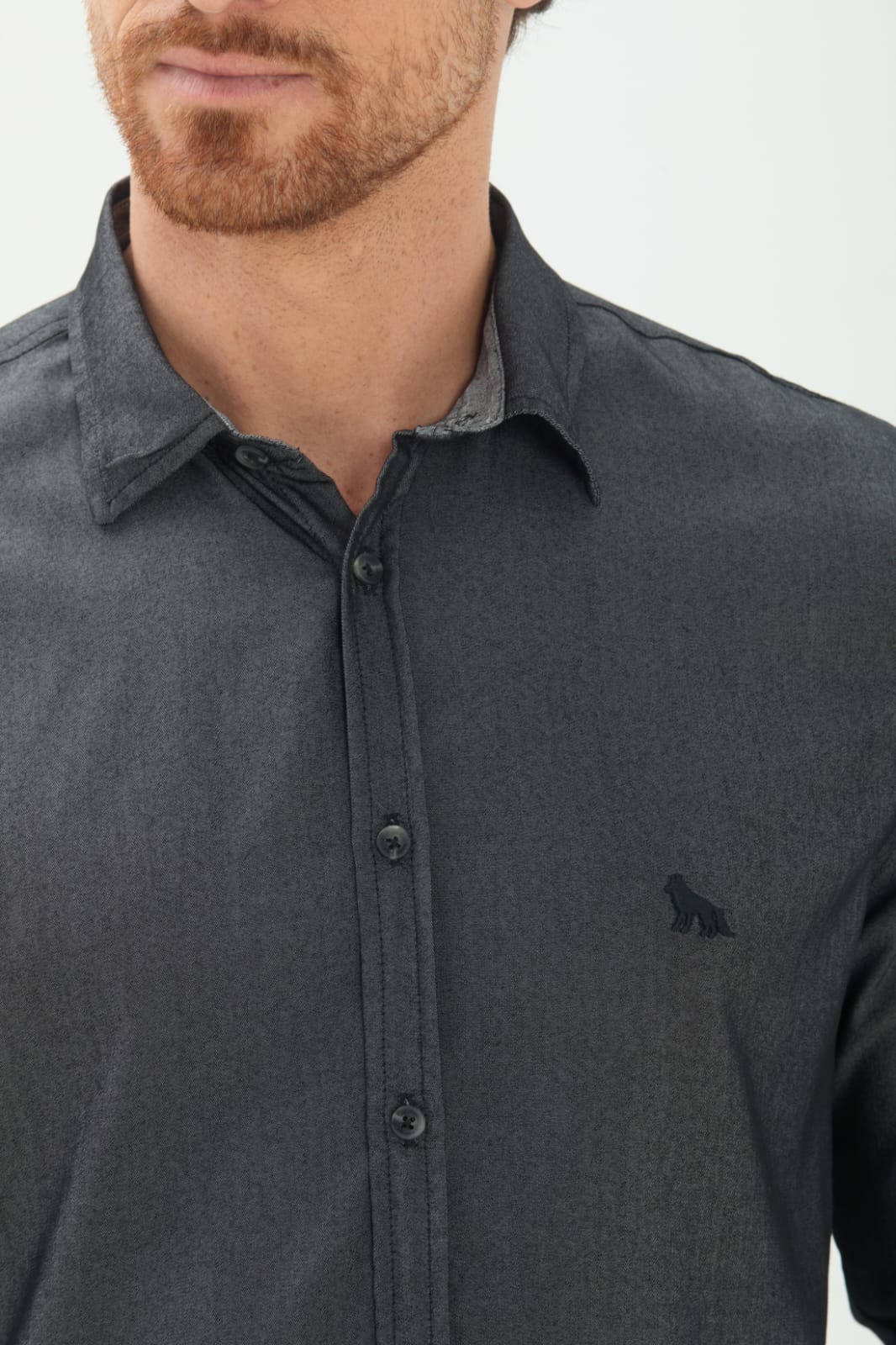 Camisa
