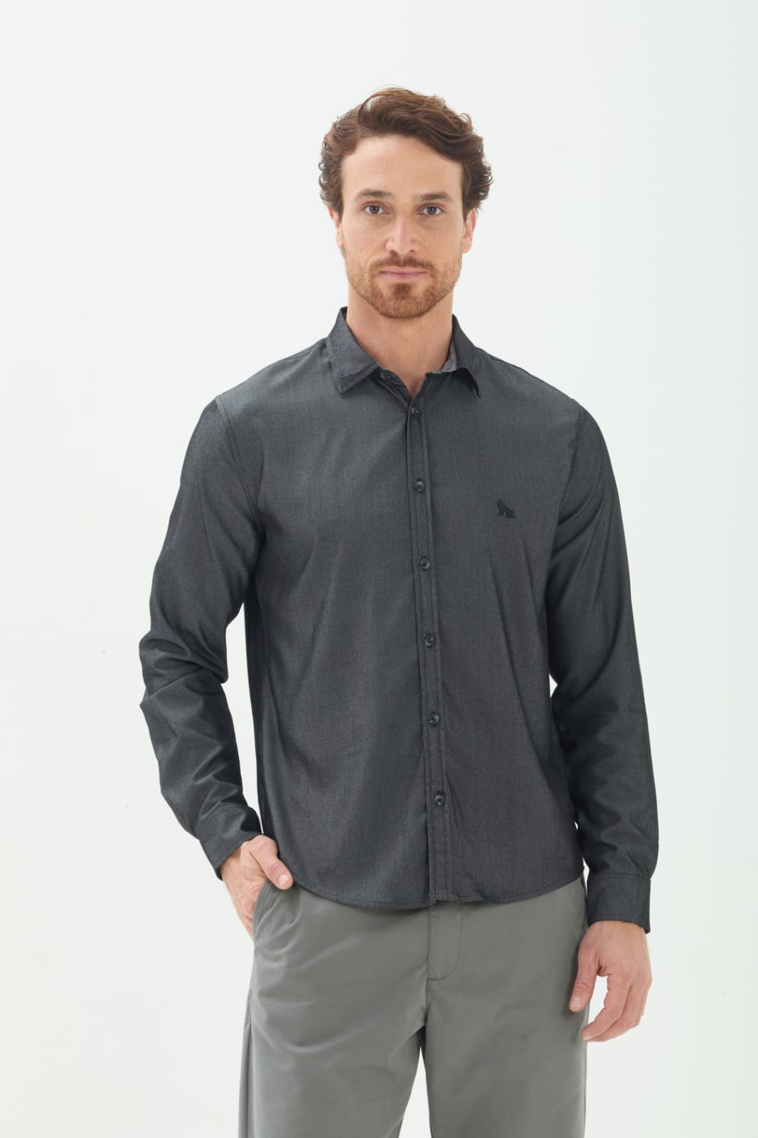 Camisa